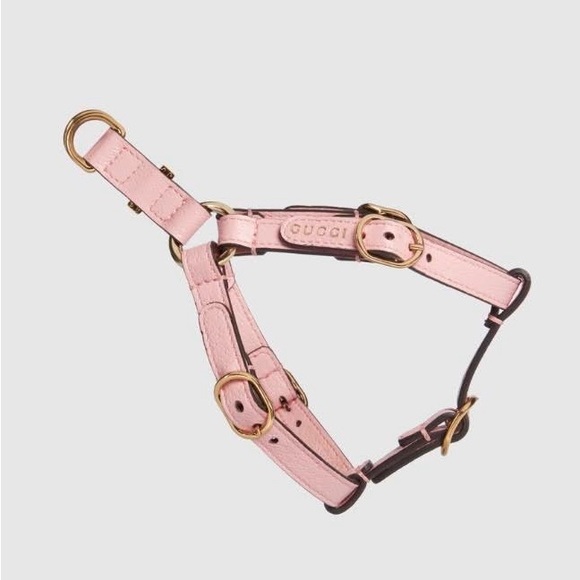 New Gucci dog leash & harness for small size dog - Picture 5 of 16